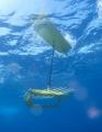 liquid_robotics_wave_glider_underwater.jpg