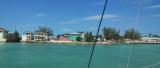 IMG_20250311_105326.jpg