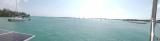 IMG_20250311_105003.jpg