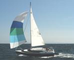 spinnaker_cruising_large.jpg