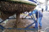 Neglect_to_apply_antifouling_and_this_is_the_inevitable_result_533x400.jpg
