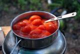 08-Tomatoes.jpg