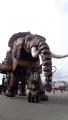 Механический слон. Живет в городе Нант(Франция).JPG