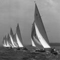 IOD-line-with-spinnakers.jpg