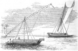 970px-Paduakan_ships_of_Celebes_(1863).png