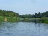 Лена водохранилище. Бобровы пруд Даровской. Истринское водохранилище Миронцево. Миронцево Солнечногорск 34. Городок Миронцево Солнечногорск.